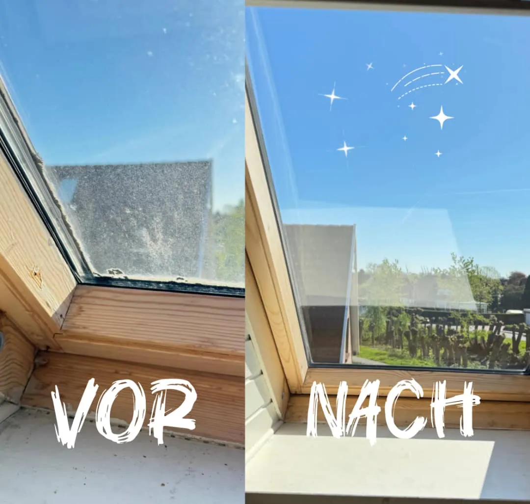 Zwei Bilder eines Fensters mit und ohne Fliegengitter.
